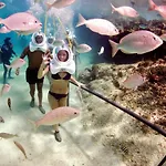 Apartmán Coblanca 8-5º *