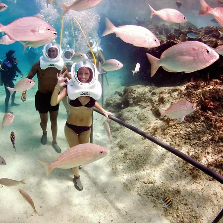 Appartement Coblanca 8-5º *