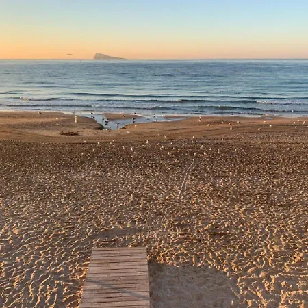 Daire Coblanca 8-5º Benidorm